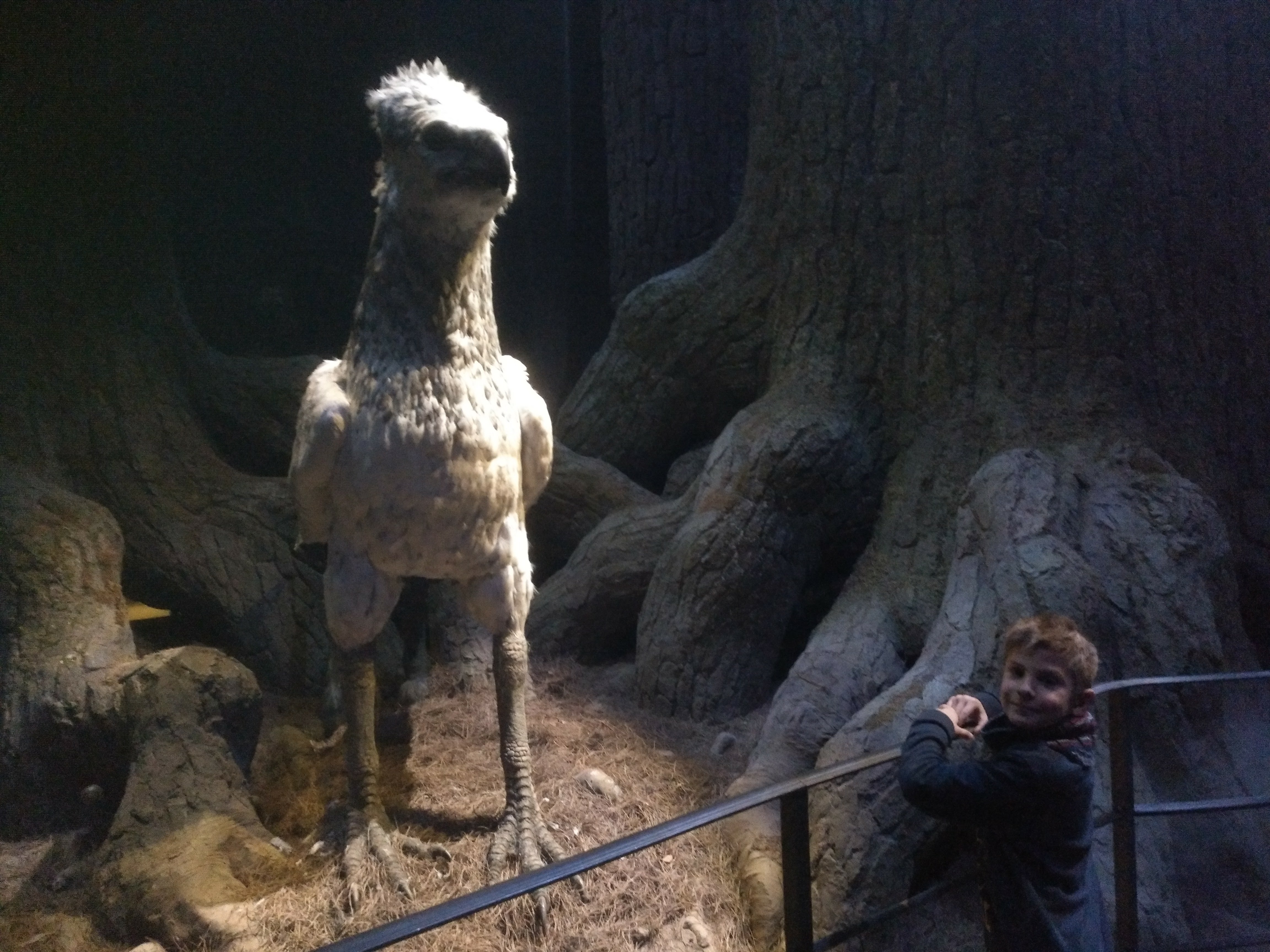 Harry Potter Studios - grifo - niño