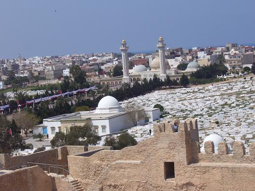 minaretes - cúpulas - cementerio - túnez - fortaleza