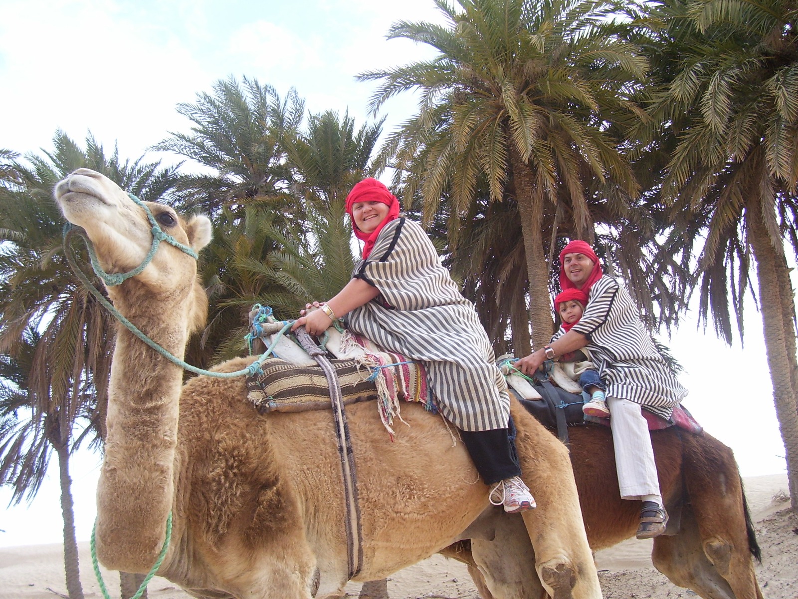 camellos - caravana - desierto - personas en camello