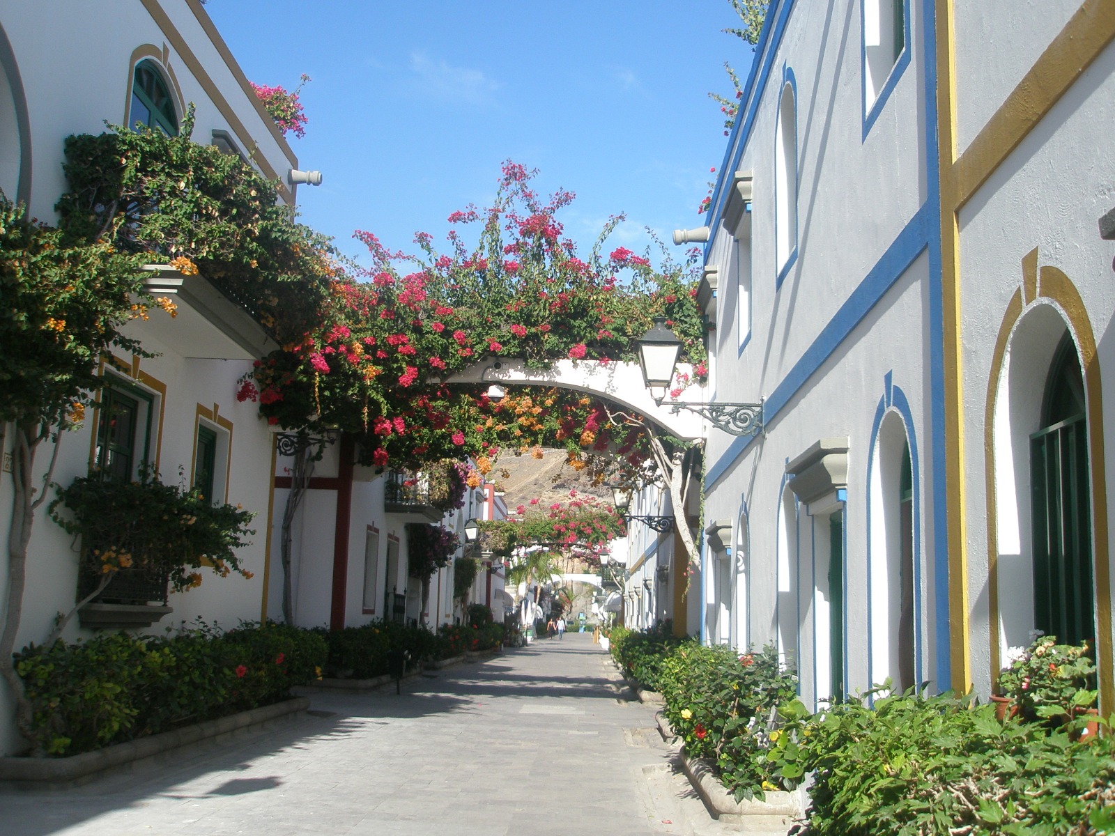 calle - casas - buganvillas - fachadas - flores